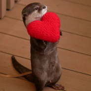 Der Objekt #gekrixsth