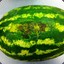 Decomposed Watermelon