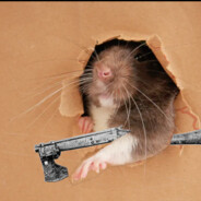 RomeroRat