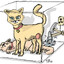 Schrödingers katt