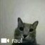 raul
