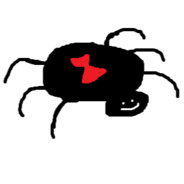 Spooder