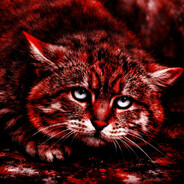 Av1KTryH4RD avatar