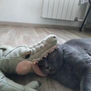 李太别白白送死