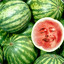 post melon