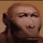 爱吃土豆的马铃薯