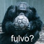 ♰fulvo?♰