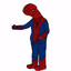 spoder