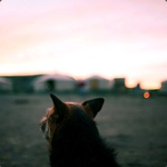 Big Avatar