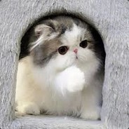 Mingno eiei