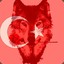 REİS_𐱅𐰇𐰼𐰰☪🐺