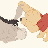 一只散养的奶宝