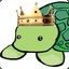 Homi King of Turtles