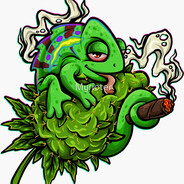 Хамелион Бонапар