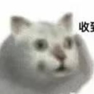 白给精英莫的感情