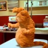 GARFIELD MEGAWAYS