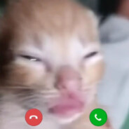 突击手电话猫DHM