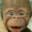 Monkeey