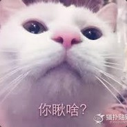 你瞅啥?
