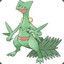 LvL 65 Sceptile