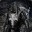 Raigoth