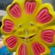 摸摸你的猪脑袋