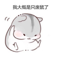 鼠鼠不想努力