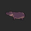 hippo