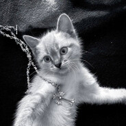 🆁🅴🆅🅴🅽🅲🆂🅴