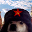 THE-RUSSIAN-DOG