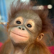 <3 TEMPORARY killer  <3