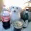 Limitt's avatar