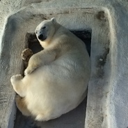 爱吐京叶的牛子酱