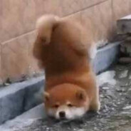 天下无敌大帅哥