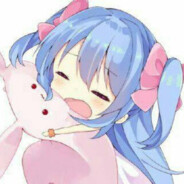 是一只超大号刺猬