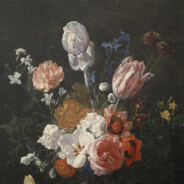 王心怡的绅士男友