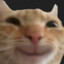 acerunox