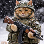 Special Ops Cat