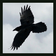 MAHAMYH3 | Moscow77.store