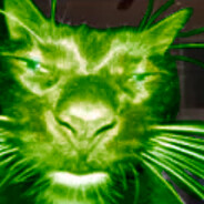 Avatar snapshot