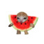 azill_cat_watermelon