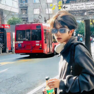 去码头整点薯条