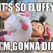 I AM SO FLUFFY