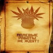 DENiS PL