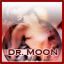 dr.moon