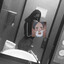 Ａｕｒａ ツ