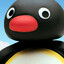 Pingu--