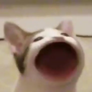 Wibble (but on a mac)