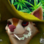 Avatar of player крапекакос