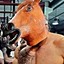 Anabolic Horse